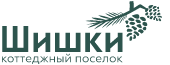 Шишки